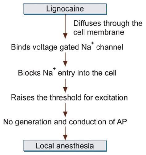 Local Anaesthesia - Focus Dentistry