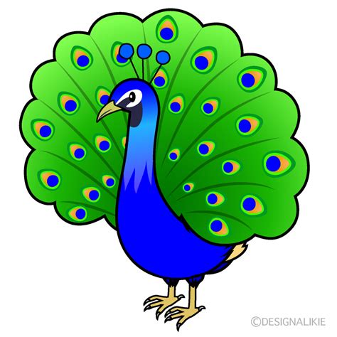 Peacock Clip Art