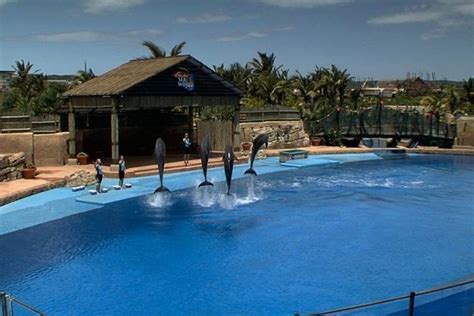 uShaka Marine world - Durban | park, public aquarium / oceanarium ...