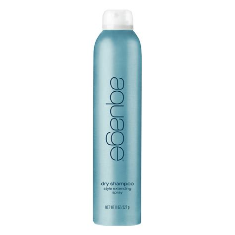 Dry Shampoo Style Extending Spray - Aquage | CosmoProf