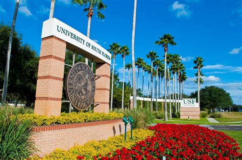 5 motivos para você estudar na University of South Florida - YES Intercâmbio | Aconselhamento ...