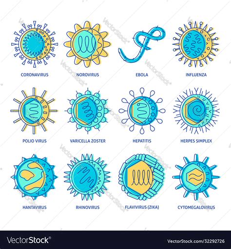 Human virus types icon set in colored line style Vector Image