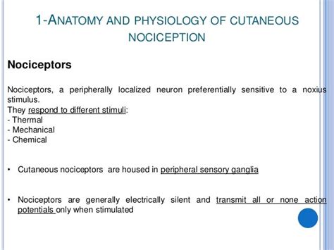 Nociceptors the sensors of the pain pathway