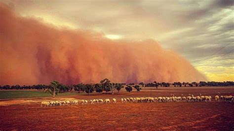 Video: Huge red dust storm blankets regional NSW | The Weekly Times