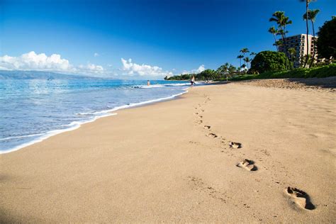 28 Best Beaches in the USA - The Planet D