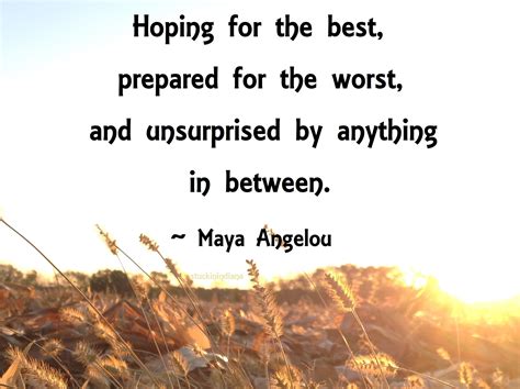 "Hoping for the best, prepared for the worst, and unsurprised by anything in between.” ~ Maya ...