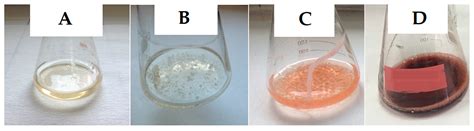 Foods | Free Full-Text | Natural Red Pigment Production by Monascus ...