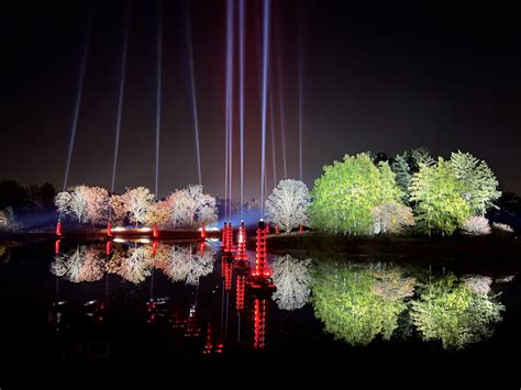 10th year of Illumination: Tree Lights at The Morton Arboretum | The ...