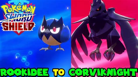 [最も共有された！ √] shiny pokemon sword rookidee evolution 188213 ...