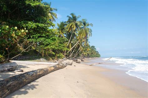 THE 15 BEST Things to Do in Libreville (2024) - Must-See Attractions