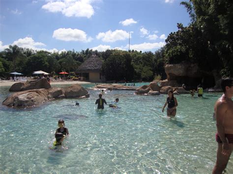 All About Discovery Cove Orlando - Disney and Orlando Geeks