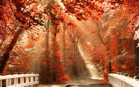 🔥 [85+] Fall Scenery Wallpapers Desktop | WallpaperSafari