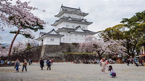 Odawara Castle (Odawarajo) - Hakone Travel