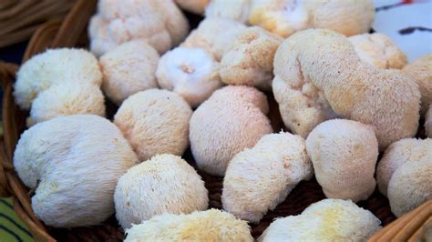 7 Amazing Health Benefits of Lion’s Mane Mushrooms