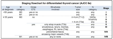 Prostate Cancer Tnm Staging Ajcc Uicc 2017 - Table 1 from Overview of the 8th Edition TNM ...