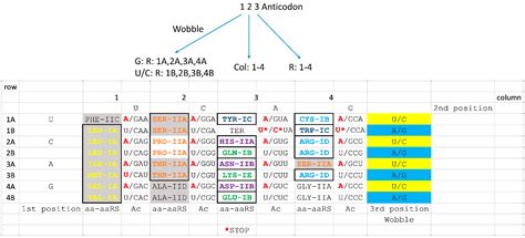 Amino Acid Anticodon Table | Elcho Table