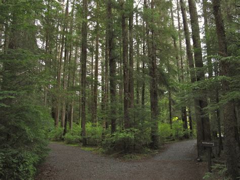 Sitka National Historical Park - History and Facts | History Hit