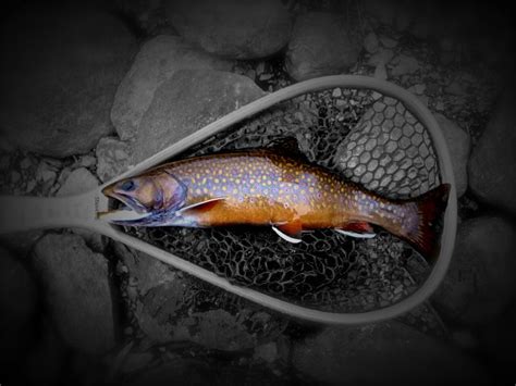 Orvis Fly Fishing Wallpaper - WallpaperSafari