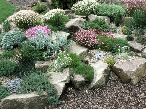 20 facts to know about Flowers and plants for rock gardens | Interior & Exterior Ideas