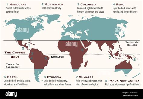 The area of the world, known as coffee belt, which includes the major ...