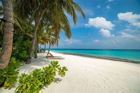 Beach - Fiyavalhu Resort Maldives