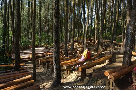 Harga tiket masuk dan Rute menuju Hutan Pinus Mangunan Dlingo - Paket ...