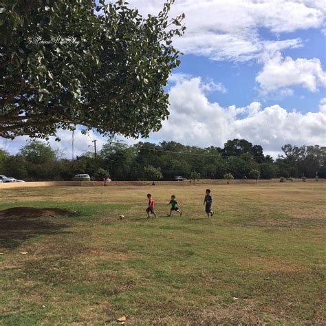 Hawaii Mom Blog: Haleiwa Beach Park