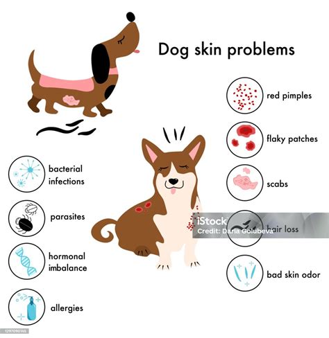 Can Dogs Get Pimples On Back