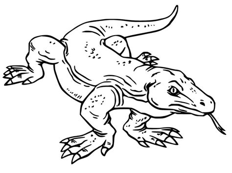 Cute Komodo Dragon Coloring Page - Free Printable Coloring Pages for Kids