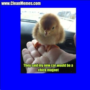 Chick Magnet – Clean Memes