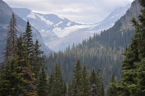 Premium Photo | Montana mountain lakes and waterfall views