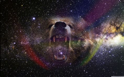 Space Bear Wallpapers - Top Free Space Bear Backgrounds - WallpaperAccess