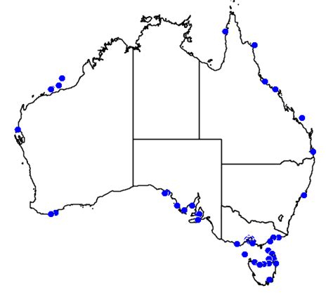 Habitat and Geography-Blue-Ringed Octopus