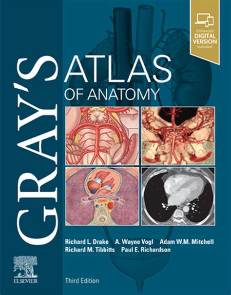 Gray's Atlas of Anatomy 3rd Edition PDF - Knowdemia