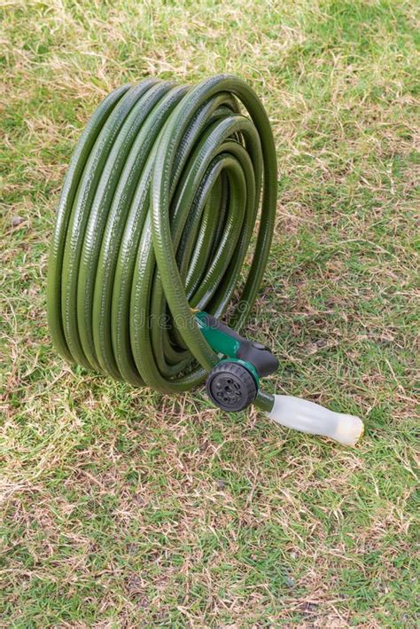 Garden Hose Green Lawn New Gardening Equipment Wrapped Up Coiled Stock ...