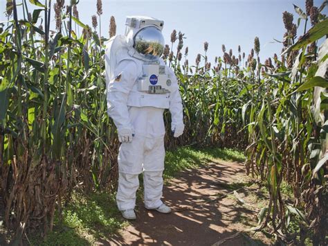 NASA bets the farm on the long-term viability of space agriculture