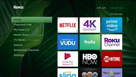 50 Themes to Customize Your Roku Home Screen Like a Pro - TechWiser