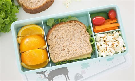 2019 Guide to choosing the best school lunch box for kids - The Organised Housewife