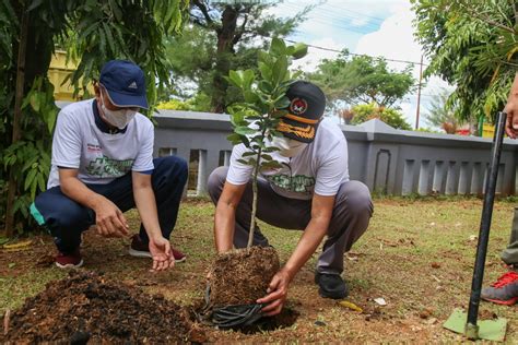 Manfaat menanam pohon | seputar tumbuhan