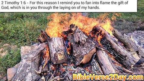 Bible Verse 2 Day: Fan into flame