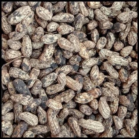 Jual kacang tanah kulit 1kg - Jakarta Timur - happy_food | Tokopedia