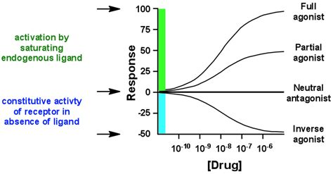 Difference Between Inverse Agonist and Antagonist | Compare the ...