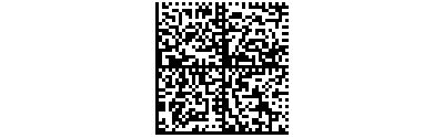 DataMatrix :: DataMatrix-Code barcode symbology description & information