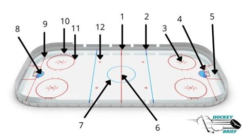 Ice Hockey 101 – Rules And Regulations Guide – Hockey Brief