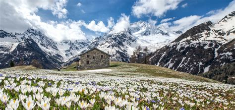 Home - Valtellina