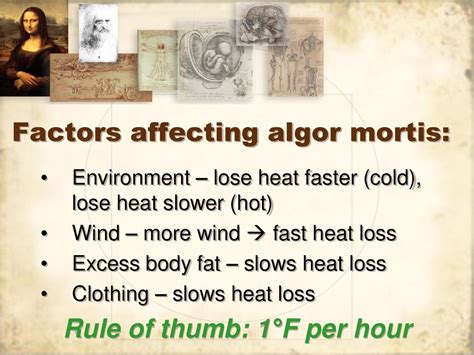 Meaning, Manner, Mechanism, Cause, and Time - ppt download