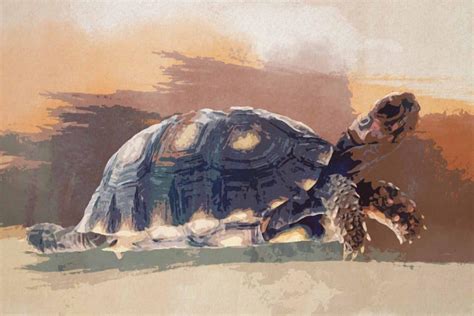 25+ Whimsical Watercolor Turtle Paintings - KnockOffDecor.com