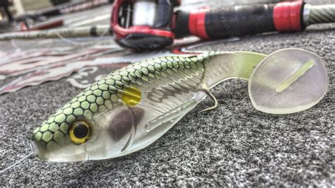 Russ Lane's finished rig on the Big Bite Baits BB Kicker / Russ Lane | Fish, Fishing tips, Best ...