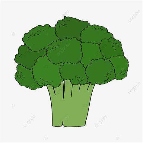 20 Of The Most Creative broccoli clip art to Inspire You – Find Art Out For Your Design Time.