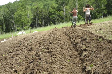 5 Water Retention Methods for Organic Growers | High Mowing Organic Non ...